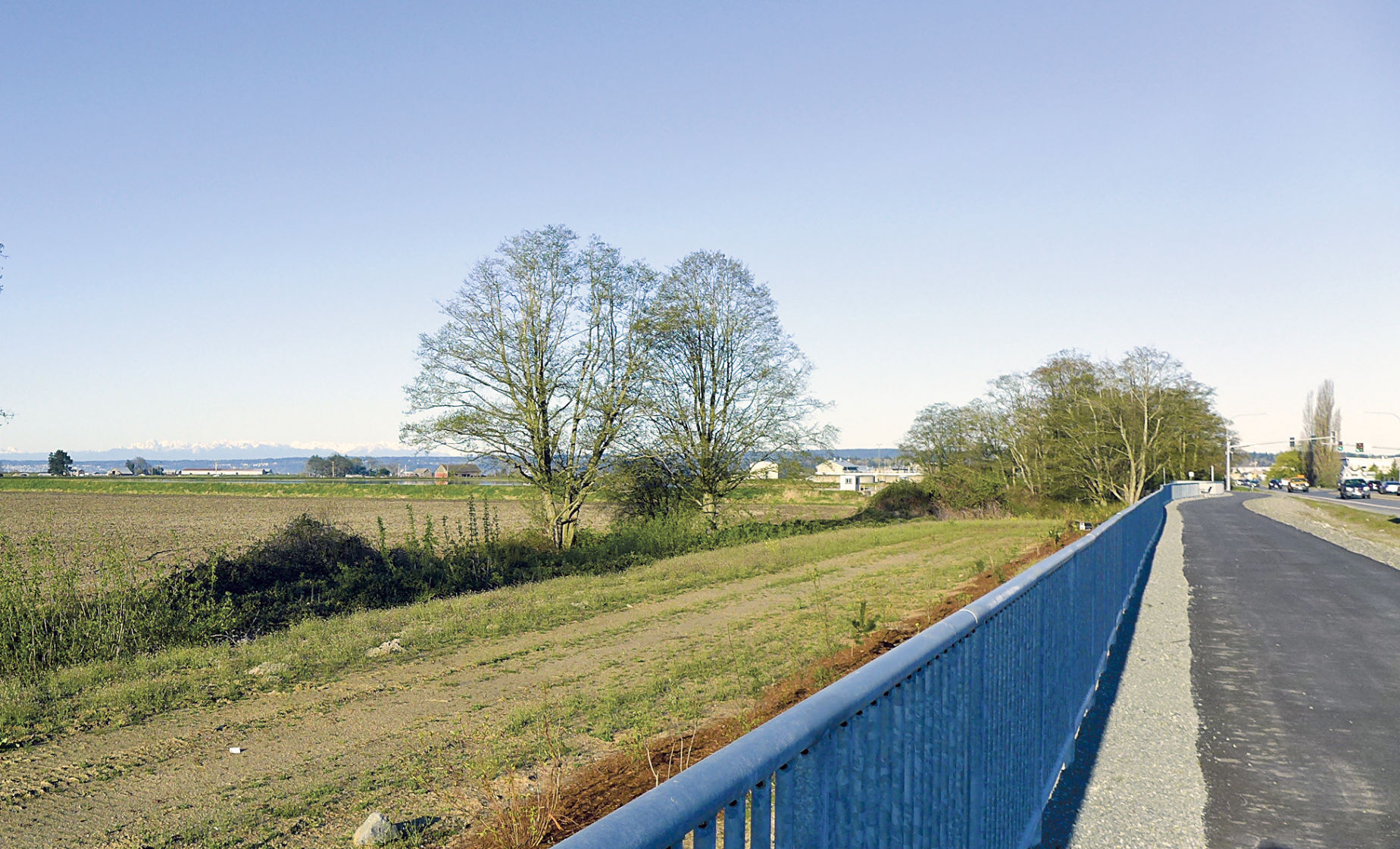 Port Susan Trail